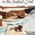 pin image that reads s'mores cheesecake in the instant pot with a slice of cheesecake on a white circle plate