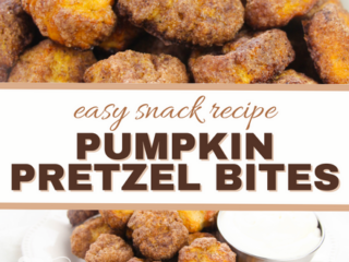 feature image that reads pumpkin pretzel bites, easy snack recipe with images of pretzel bites above and below the words