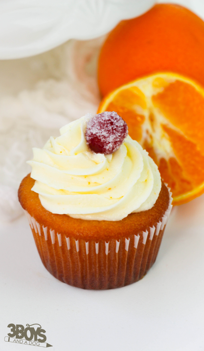 Cranberry Orange Cupcakes Recipe