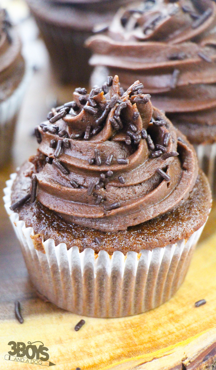 Double Chocolate Cupcakes Recipe