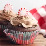 peppermint cupcake with chocolate frosting