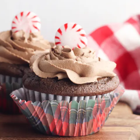 peppermint cupcake with chocolate frosting