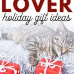 pin image that reads cat lover holiday gift ideas with a sleeping cat