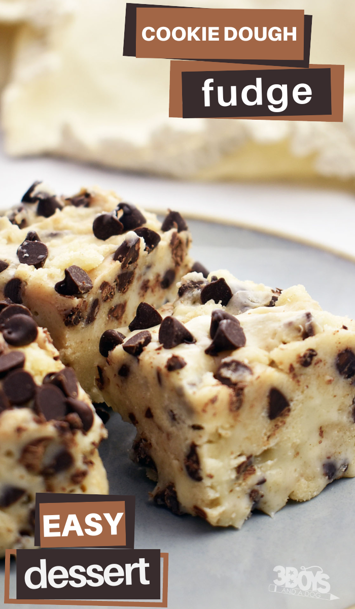 pin image that reads cookie dough fudge easy dessert with fudge on a plate