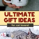pin image that reads ultimate gift ideas for cat lovers with a picture of a cat mug and a sleeping cat
