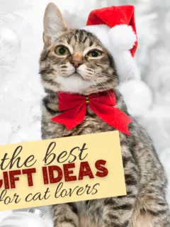 pin image that reads the best gift ideas for cat lovers with a cat in a santa hat