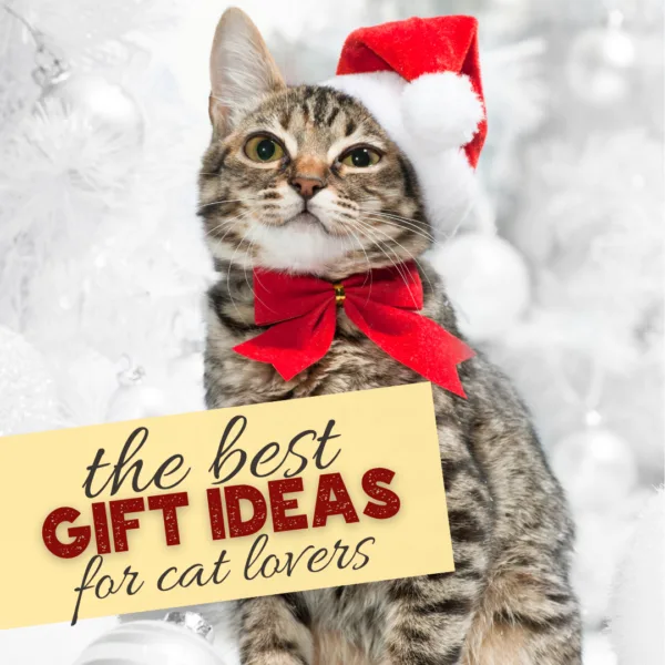 pin image that reads the best gift ideas for cat lovers with a cat in a santa hat