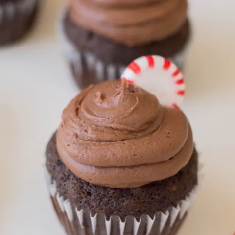 mocha cupcake with a peppermint on top