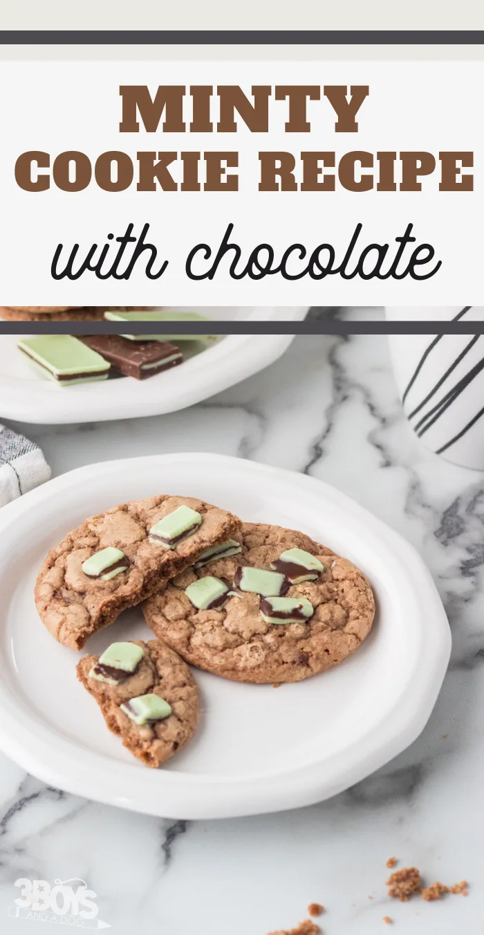 pin image that reads minty cookie recipe with chocolate 