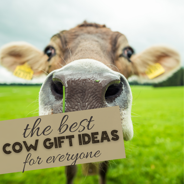 15 Cow Lovers Gift Ideas