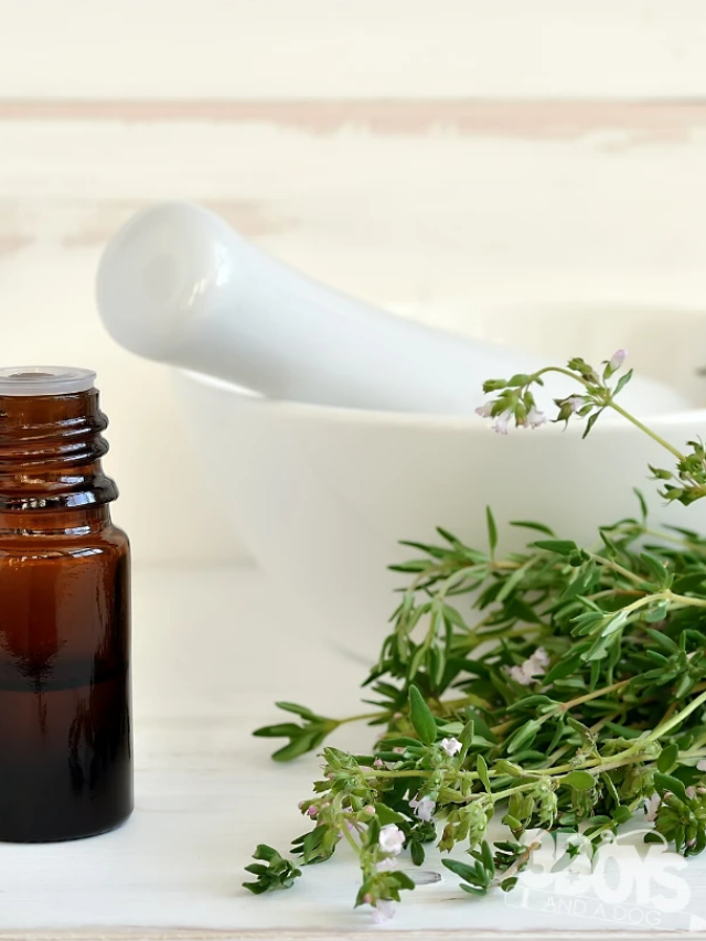 Amazing Health Benefits of Thyme