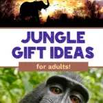 pin image that reads jungle gift ideas for adults
