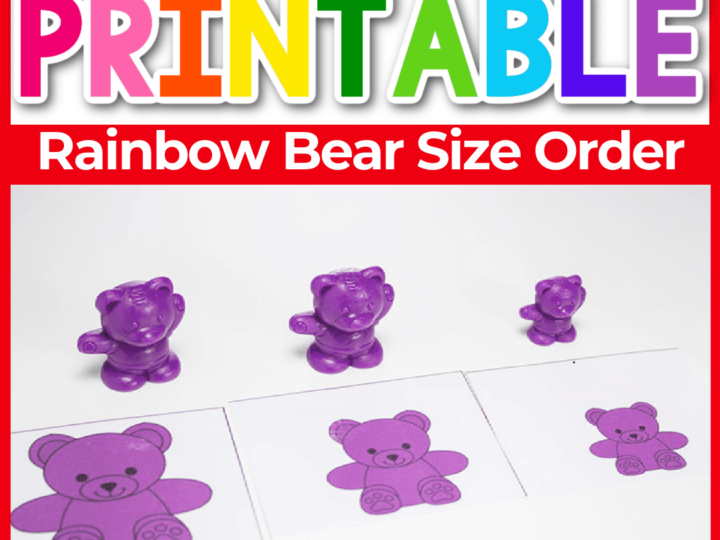 Image for Rainbow Bear Cards: Size Order
