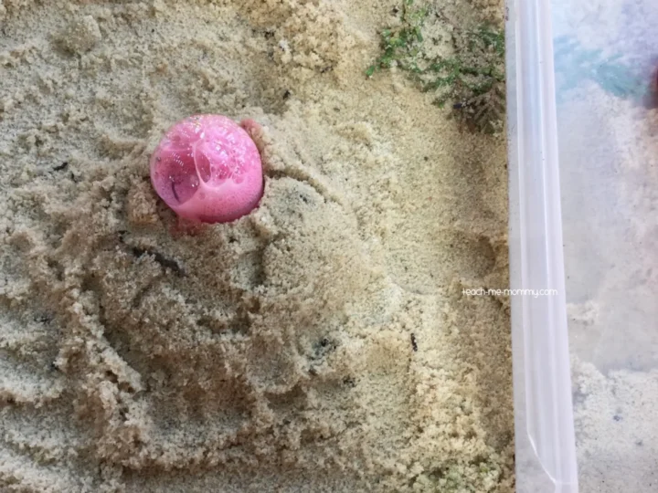Image for Pink Volcano Experiment