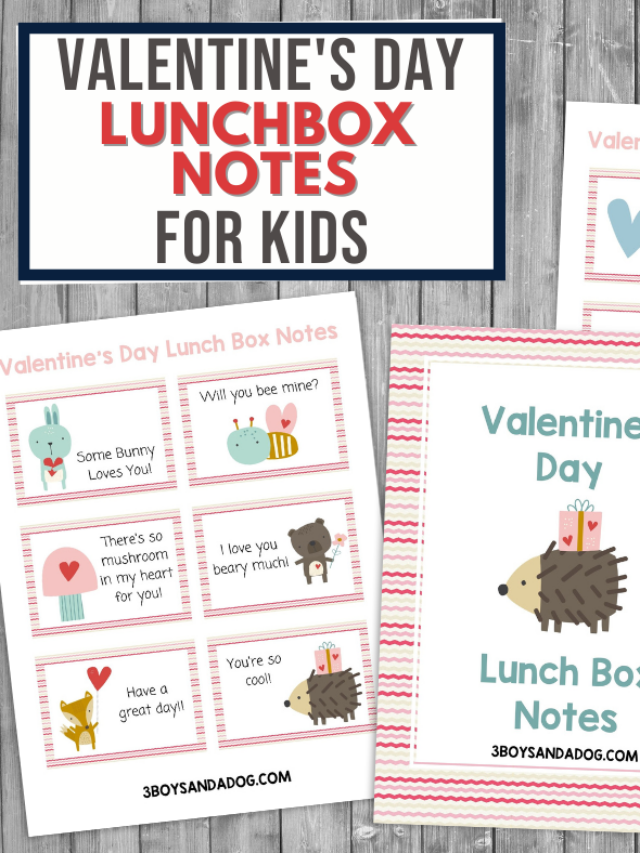 Valentine Lunchbox Notes