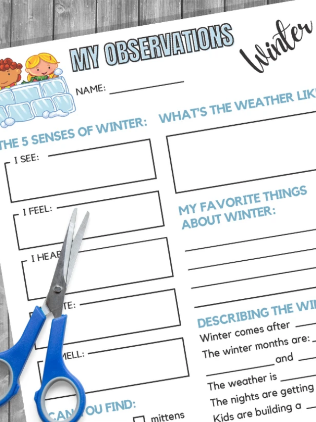 Winter Observation Worksheets
