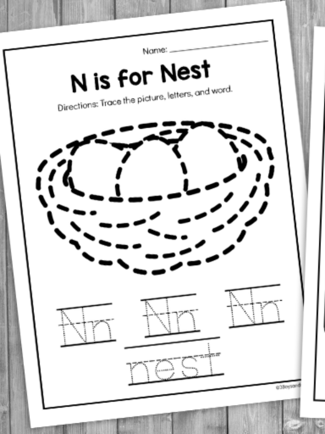 N is for Nest Worksheet