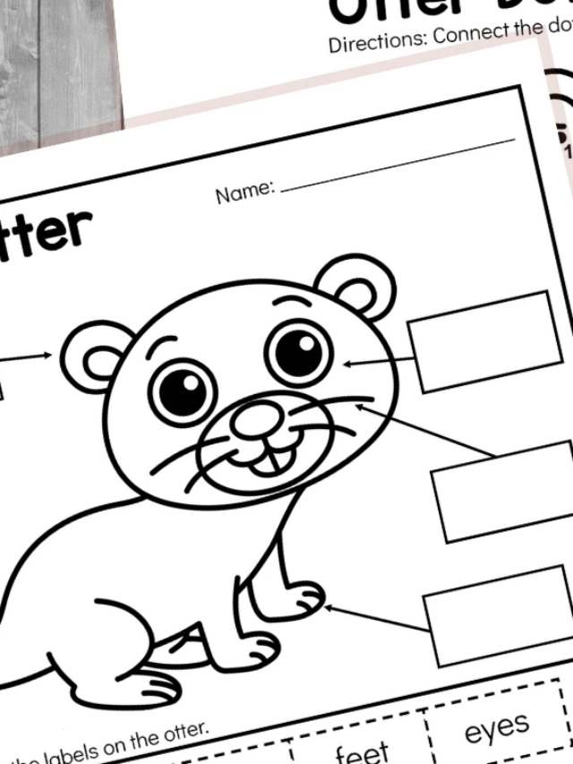 Otter Activity Worksheets