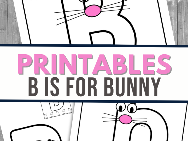 Image for B is for Bunny Worksheet