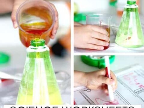 Image for Printable Science Experiment Worksheets