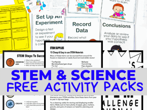 Image for STEM Worksheets (FREE Printables)