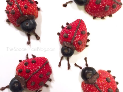 Image for Strawberry Ladybugs
