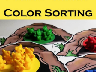 Image for Math Manipulatives: Rainbow Counter Color and Size Sorting 