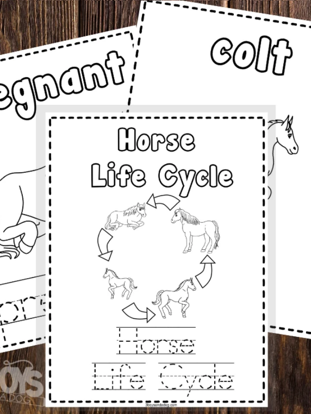 Free Educational Printable on the Horse Life Cycle