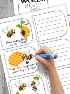 bee-life-cycle-worksheets-3