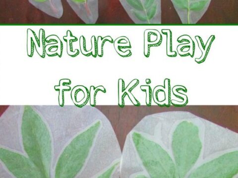 Image for Nature Hunt~ Leaf Matching Game