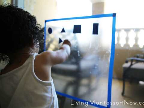 Image for Sticky Paper Shape Sorting and Counting