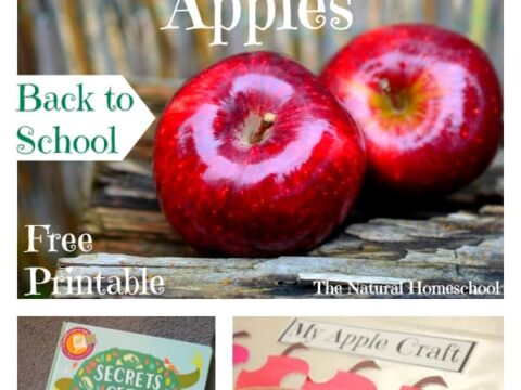 Image for All About Apples for Back to School! {Free Printable}