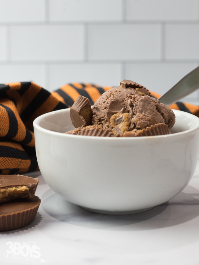 cropped-Reeses-Chocolate-Ice-Cream-recipe-4.png