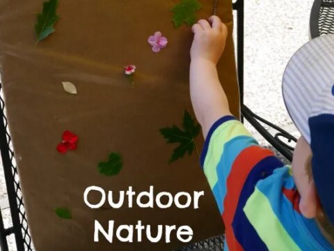 Image for Outdoor Nature Collage