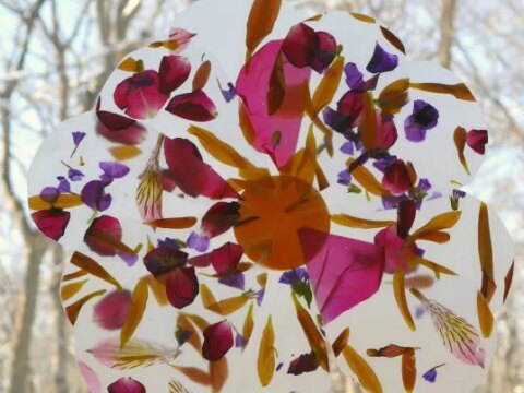 Image for Petal Suncatcher Craft