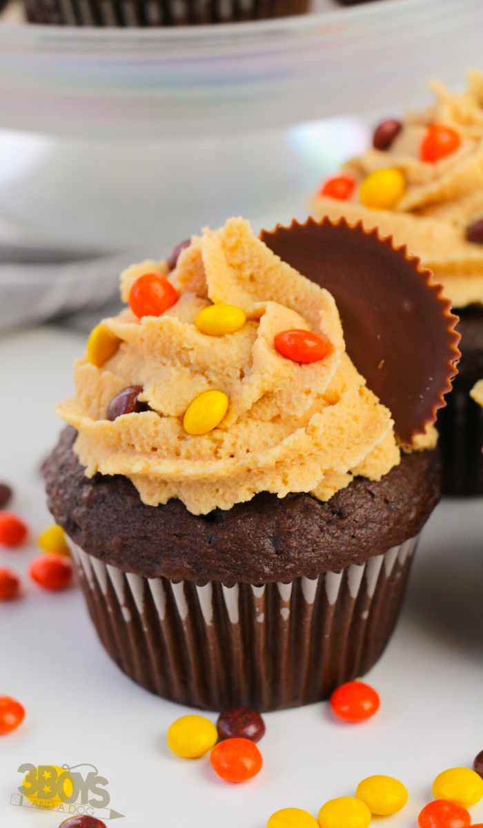 Reese’s Peanut Butter Cupcakes Recipe