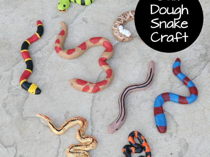 Image for Salt Dough Snake Craft