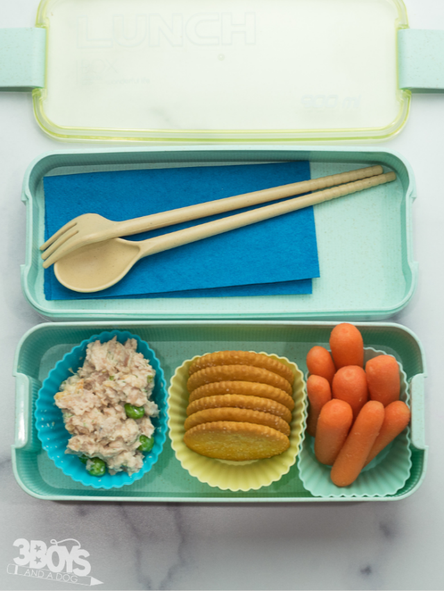 DIY Tuna Bento Box