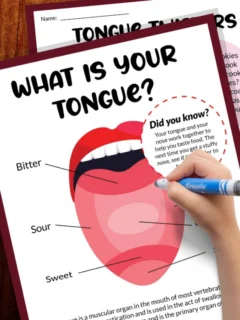 all-about-the-tongue-unit-study-for-all-ages