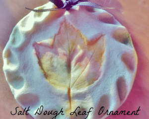 Image for Crafty Kids Salt Dough Leaf Prints