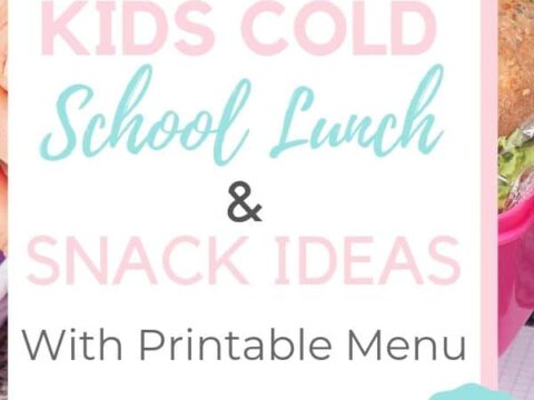 Image for Cold School Lunch Ideas
