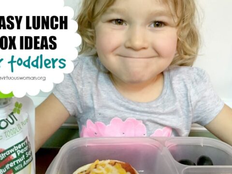 Image for 3 Easy Lunch Box Ideas for Your Toddler 