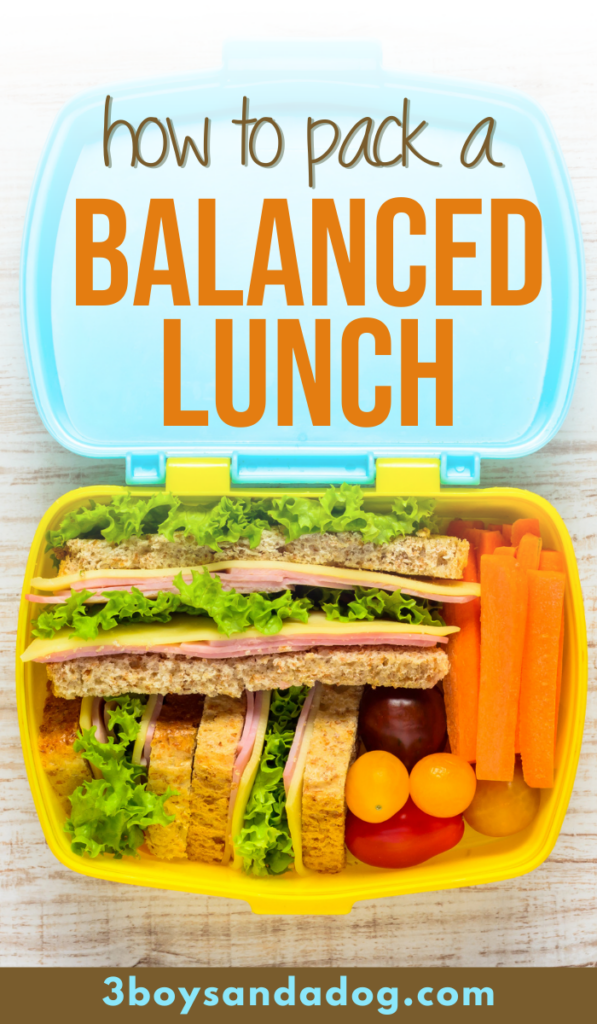 How to Pack a Balanced Lunch - 3 Boys and a Dog