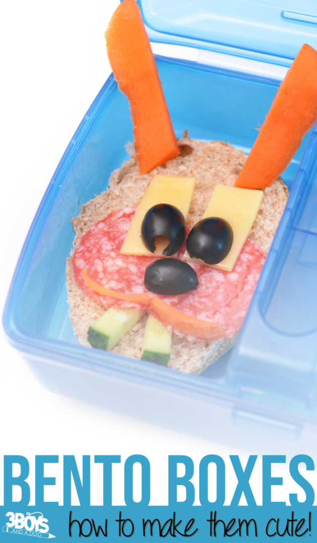 Bento Box Presentation Guide - 3 Boys and a Dog