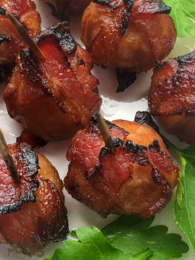 cropped-Bacon-Water-Chestnut-Bites-recipe-5-1.png