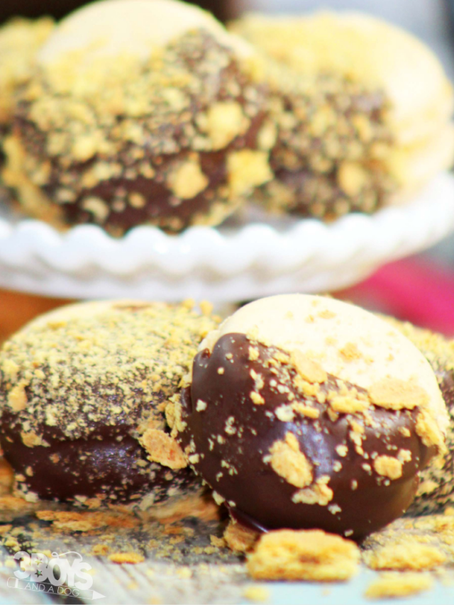 Smores Macarons Recipe