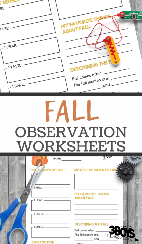 Fall Off Worksheet Fall Observations Printable Worksheet - 3 Boys and a Dog