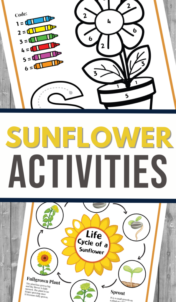 Sunflower Worksheets.pdf Sunflower Activity Pack Worksheets - 3 Boys and a Dog