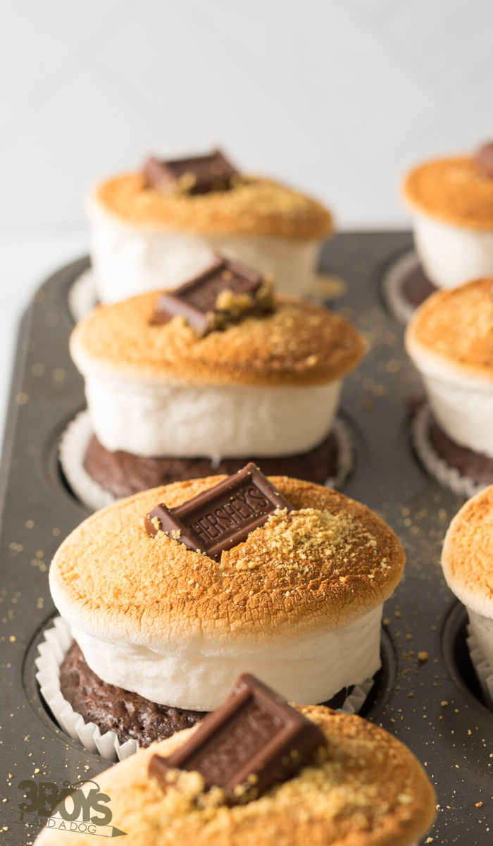 Smores Cupcakes Recipe