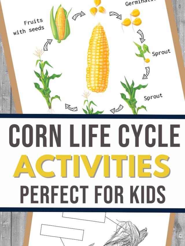 Corn Activity Set Worksheets Story
